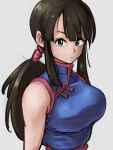  1girl bangs breasts brown_hair chi-chi_(dragon_ball) chinese_clothes dragon_ball dragon_ball_(classic) eyebrows_visible_through_hair grey_background kemachiku large_breasts long_hair looking_at_viewer ponytail simple_background sleeveless solo 