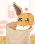  animal_focus bag banchiku blurry blurry_background blush brown_eyes closed_mouth commentary_request eevee fluffy gen_1_pokemon highres in_bag in_container indoors light_blush no_humans paper_bag pokemon pokemon_(creature) shopping_bag solo upper_body 