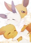  alternate_color animal_focus banchiku bed_sheet blush brown_eyes closed_eyes closed_mouth commentary_request eevee fluffy from_above gen_1_pokemon half-closed_eyes highres hug light_blush lying no_humans nose_blush on_side open_mouth pokemon pokemon_(creature) shiny_pokemon simple_background sleeping white_background 