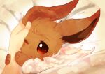  animal_focus banchiku bangs bed_sheet blush brown_eyes commentary_request disembodied_limb eevee fluffy gen_1_pokemon hand_on_another&#039;s_face light_blush open_mouth pokemon pokemon_(creature) solo_focus star_(symbol) star_in_eye swept_bangs symbol_in_eye under_covers upper_body white_background 