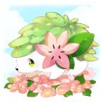  absurdres animal_focus banchiku blue_sky blush border clouds commentary_request day flower from_side full_body gen_4_pokemon green_eyes highres legendary_pokemon light_blush looking_at_viewer mythical_pokemon no_humans outdoors pink_flower pokemon pokemon_(creature) shaymin shaymin_(land) sky solo white_border 
