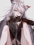  1girl animal_ears arknights bangs black_jacket commentary eyebrows_visible_through_hair fang feet_out_of_frame grey_background grey_eyes hair_between_eyes hair_ornament hairclip head_tilt highres jacket knees_up lappland_(arknights) long_hair long_sleeves looking_at_viewer moff_(dyhc8382) open_mouth silver_hair simple_background sitting solo wolf_ears 