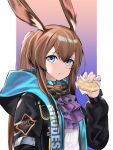  1girl absurdres amiya_(arknights) animal_ears arknights blue_eyes brown_hair closed_mouth doughnut eyebrows_visible_through_hair food highres holding holding_food hood hooded_jacket jacket long_hair looking_at_viewer multicolored multicolored_clothes multicolored_jacket ponytail rabbit_ears rhodes_island_logo rivet_vvrn simple_background solo 