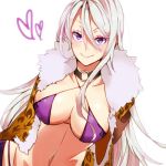  1girl 7th_dragon_2020 bikini_top breasts collar fur_coat navel psychic_(7th_dragon) silver_hair solo violet_eyes xharunoyasaix 