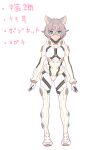  1girl :3 animal_ears arms_at_sides bodysuit cat_ears closed_mouth concept_art dot_nose enkyo_yuuichirou full_body gloves green_eyes grey_hair looking_at_viewer pince-nez short_hair solo standing translation_request white_bodysuit white_gloves 