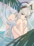  1girl animal_ear_fluff animal_ears arknights bangs bikini blunt_bangs blush bracelet breasts commentary criss-cross_halter halterneck highres horse_ears jewelry konota_ko laurel_crown leg_hug looking_at_viewer navel official_alternate_costume partially_submerged plant platinum_(arknights) platinum_(shimmering_dew)_(arknights) silver_hair sitting solo swimsuit tail water white_bikini yellow_eyes 