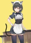  1girl animal_ears apron black_hair black_legwear breasts cat_ears cat_girl cat_tail commentary_request earrings eyebrows_visible_through_hair hand_on_hip highres jewelry maid maid_headdress original red_eyes ryou_(ponpgo) short_hair simple_background small_breasts solo tail thigh-highs wrist_cuffs yellow_background zettai_ryouiki 
