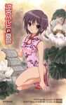  1girl bangs bare_legs book brown_eyes brown_hair china_dress chinese_clothes copyright dress expressionless eyebrows_visible_through_hair floral_print flower holding holding_book nagato_yuki not_for_sale official_art open_book pink_dress scan short_hair sleeveless sleeveless_dress solo squatting suzumiya_haruhi_no_yuuutsu 