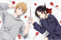  1boy 1girl anime_coloring black_hair blonde_hair closed_mouth commentary_request copyright_name copyright_notice flower folded_ponytail grey_shirt hetero holding_hands kaguya-sama_wa_kokurasetai_~tensai-tachi_no_renai_zunousen~ long_sleeves looking_at_viewer lying official_art on_back on_side parted_lips petals purple_shirt red_eyes red_flower red_petals red_tulip shinomiya_kaguya shirogane_miyuki shirt tulip violet_eyes white_background 