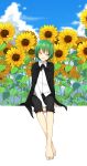  1girl antennae bangs barefoot between_legs black_cape black_shorts blue_sky cape closed_eyes clouds collared_shirt commentary crossed_legs day facing_viewer flower full_body garden_of_the_sun green_hair grin hand_between_legs head_tilt highres katsuobushi_(eba_games) long_sleeves outdoors shiny shiny_hair shirt short_hair shorts sitting sky smile solo sunflower touhou unfinished_background white_background white_shirt wriggle_nightbug 