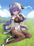  1girl absurdres ahoge anklet armpit_crease bare_shoulders bell blue_hair breasts breasts_apart chinese_knot closed_mouth clouds cowbell detached_sleeves dot_nose eyebrows_visible_through_hair ganyu_(genshin_impact) genshin_impact goat_horns gold_trim grass hair_between_eyes hand_up highres horns jewelry leotard long_hair looking_at_viewer mashilemo neck_bell outdoors pantyhose pelvic_curtain sidelocks sitting solo thighlet very_long_hair violet_eyes white_footwear yokozuwari 