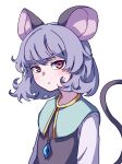  1girl absurdres animal_ears bangs blue_capelet capelet closed_mouth eyebrows_behind_hair grey_hair highres jewelry kame_(kamepan44231) long_sleeves looking_at_viewer mouse_ears mouse_tail nazrin pendant red_eyes short_hair simple_background solo tail touhou upper_body white_background white_sleeves 