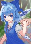  1girl :d blue_dress blue_eyes blue_hair breasts cirno commentary_request dress highres ice ice_wings imoutochiru light_blush looking_at_viewer open_mouth pov pov_hands short_hair small_breasts smile solo_focus touhou upper_body wings 
