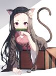  1girl animal_ear_fluff animal_ears bamboo bit_gag black_hair blush box cat_ears cat_tail fingernails gag hair_ribbon hanavvi highres in_box in_container japanese_clothes kamado_nezuko kimetsu_no_yaiba kimono long_hair long_sleeves looking_at_viewer mouth_hold open_box ribbon sharp_fingernails solo tail violet_eyes 