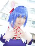  animal_ears blue_hair cat_ears cosplay hair_ribbons kokubunji_koyori nurse_witch_komugi-chan photo yuriya 