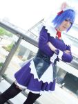  animal_ears blue_hair cat_ears cosplay garter_belt hair_ribbons kokubunji_koyori nurse_witch_komugi-chan photo thigh-highs yuriya 