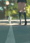  1girl absurdres animal_focus blurry blurry_background cat highres legs original outdoors pleated_skirt road saisho_(qpoujr) scenery shoes skirt socks tree white_cat 