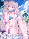  1girl arm_support ashiba_nero azur_lane bangs bikini blue_bikini blue_sky blunt_bangs braid breasts closed_mouth clouds collarbone day double_bun eyebrows_visible_through_hair formidable_(azur_lane) formidable_(the_lady_of_the_beach)_(azur_lane) halterneck large_breasts long_hair looking_at_viewer palm_tree petals red_eyes sitting sky solo swimsuit thigh-highs tree twin_braids very_long_hair water white_legwear 