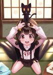  1girl :d absurdres animal_on_head arms_up bangs black_cape black_cat black_skirt blunt_bangs blush brown_hair cape cat child chomusuke collared_shirt commentary_request cookie eyebrows_visible_through_hair food foreshortening from_above full_body hair_ornament hands_on_own_head highres holding holding_food huge_filesize indoors komekko kono_subarashii_sekai_ni_shukufuku_wo! long_sleeves looking_at_viewer low_twintails miniskirt on_head open_mouth pleated_skirt red_eyes shadow shirt short_hair sidelocks sitting skirt smile solo_focus star_(symbol) star_hair_ornament suspender_skirt suspenders table tatami toketa_(toketa15) twintails upper_teeth wariza white_shirt window window_shade 