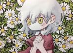  1girl daisy dated dot_mouth flower grey_hair hands_clasped hands_together leaf looking_away medium_hair no_nose original own_hands_together pale_skin red_shirt shirt short_sleeves signature solo tears upper_body white_flower wind wing_collar yellow_eyes zukky000 