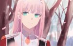  1girl bangs blue_eyes blunt_bangs blurry blurry_background cherry_blossoms closed_mouth darling_in_the_franxx eyebrows_visible_through_hair highres long_hair looking_at_viewer outdoors pink_hair portrait smile solo straight_hair tr_(hareru) tree zero_two_(darling_in_the_franxx) 