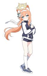  1girl animal_ear_fluff animal_ears blue_archive blue_eyes blue_jacket blue_shorts closed_mouth commentary flower full_body gym_shorts gym_uniform hair_flower hair_ornament hairband halo headband highres jacket light_blush lmg7811 long_hair long_sleeves mari_(blue_archive) mari_(track)_(blue_archive) multicolored_jacket official_alternate_costume orange_hair own_hands_together ponytail ribbon shoes shorts simple_background smile sneakers socks solo standing track_jacket two-tone_jacket two-tone_shorts white_background white_flower white_hairband white_headband white_jacket white_ribbon white_shorts white_socks yellow_halo 