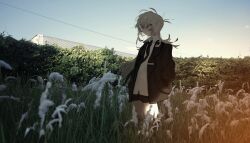  1girl black_jacket black_necktie black_shorts blue_sky closed_mouth collared_shirt feet_out_of_frame floating_hair garden grass grey_hair hands_in_pockets hedge highres indie_virtual_youtuber jacket light_leak long_hair long_sleeves looking_at_viewer mole mole_under_eye necktie open_clothes open_jacket outdoors photo_background question_mark_hair_ornament shirt shiteharu shiteharu_(artist) shorts sky smile solo standing susuki_grass tall_grass virtual_youtuber white_shirt 