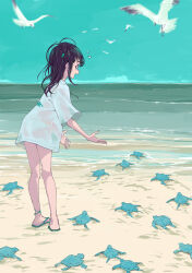  1girl absurdres animal beach bikini bird black_hair child clip_studio_paint_(medium) clouds day eudetenis fang flying_sweatdrops from_behind full_body hair_ornament hatchlings highres horizon leaning_forward long_hair messy_hair ocean open_mouth original outdoors pigeon-toed profile sand sandals sea_turtle seagull see-through_clothes see-through_shirt see-through_silhouette shirt signature sky solo swimsuit turtle water waves wet white_bikini white_shirt 