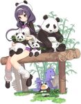  animal azur_lane bamboo black_footwear bow bowtie feeding hair_ornament hairband hat highres holding holding_animal kinjo_kuromomo low_twintails ning_hai_(azur_lane) ning_hai_(derbao&#039;s_friend)_(azur_lane) official_alternate_costume official_art panda purple_hair sitting transparent_background twintails violet_eyes white_headwear white_legwear 