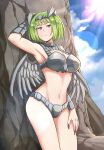  1girl arm_up armpits blue_eyes blue_sky blurry bokeh breasts clouds depth_of_field frown granity_(monster_farm) green_hair groin horns large_breasts long_tail monster_farm navel short_hair sky solo tail thighs untold wings 