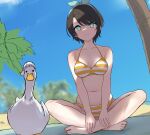  1girl barefoot bikini bird black_hair blue_eyes blue_hairband blue_sky blurry breasts clouds depth_of_field duck dutch_angle hairband highres hololive indian_style looking_at_viewer medium_breasts nail_polish oozora_subaru shade short_hair sitting sky solo striped striped_bikini subaru_duck swimsuit terebi_(shimizu1996) toenail_polish virtual_youtuber yellow_bikini yellow_nails 