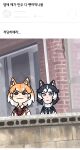  2girls :3 animal_ear_fluff animal_ears ap_dul bangs black_hair blush_stickers brick_wall brown_eyes closed_mouth condensation dog_(kemono_friends) dog_ears door doorknob dot_nose extra_ears fake_screenshot half-closed_eyes harness highres japari_symbol kemono_friends korean_text looking_at_viewer multicolored_hair multiple_girls necktie orange_hair orange_neckwear outdoors photo-referenced scarf short_hair siberian_husky_(kemono_friends) sidelocks signature smile stone_wall tareme translation_request tsurime two-tone_hair upper_body wall white_hair white_scarf window window_fog wing_collar 