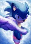  1boy absurdres animal_nose blurry closed_mouth depth_of_field foreshortening furry gloves green_eyes highres looking_at_viewer male_focus ry-spirit shoes smile sneakers solo sonic_(series) sonic_the_hedgehog white_gloves 