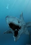  1girl animal bubble demizu_posuka floating jaw ocean original shark teeth underwater water 