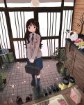  1girl absurdres bag black_hair blush cactus cat cherry_blossoms highres light_smile long_hair original petals plant potted_plant school_bag school_uniform shoes solo spring_(season) standing zinbei 