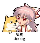  1girl bow chibi chinese_commentary collared_shirt commentary_request dog doge english_commentary eyebrows_visible_through_hair fujiwara_no_mokou hair_between_eyes hair_bow jokanhiyou licking looking_at_another lowres meme red_eyes shiba_inu shirt short_sleeves silver_hair solo suspenders tongue tongue_out translation_request white_background white_shirt 