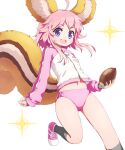  1girl acorn ahoge animal_ear_fluff animal_ears arpiel buruma character_request fingerless_gloves gloves grey_gloves grey_legwear gym_uniform haniwa_(near) holding jacket kneehighs leg_up legs long_tail navel open_mouth pink_buruma pink_footwear pink_hair pink_sleeves running shoes short_hair smile solo squirrel_ears squirrel_tail tail thighs track_jacket two-tone_jacket violet_eyes white_jacket 