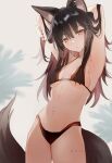  1girl :o alternate_costume animal_ear_fluff animal_ears arknights armpits arms_behind_head bare_shoulders bikini black_bikini black_hair breasts brown_bikini commentary_request english_commentary highres long_hair looking_at_viewer mochii nail_polish navel simple_background small_breasts solo standing stomach string_bikini swimsuit tail texas_(arknights) tree twitter_username under_boob white_background wolf_ears wolf_girl wolf_tail yellow_eyes 