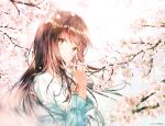  1girl absurdres bangs blue_shirt blurry blurry_background blurry_foreground branch brown_eyes brown_hair cherry_blossoms day depth_of_field eyebrows_visible_through_hair flower highres hiten_(hitenkei) holding long_hair long_sleeves looking_at_viewer original outdoors parted_lips petals pink_flower shirt solo spring_(season) tree_branch upper_body white_shirt 