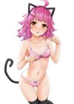  1girl absurdres ahoge animal_ears bangs bare_arms bare_shoulders black_legwear blush bow bow_bra bow_panties bra breasts brown_eyes cat_ears cat_tail collarbone eyebrows_visible_through_hair fake_animal_ears feet_out_of_frame frilled_bra frilled_panties frills groin hands_up highres long_hair looking_at_viewer love_live! love_live!_nijigasaki_high_school_idol_club miel_(lessontome) navel nose_blush panties parted_lips paw_pose pink_bra pink_hair pink_panties simple_background small_breasts solo sweat tail tennouji_rina thigh-highs thigh_gap underwear underwear_only white_background 