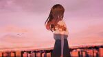  1girl brown_hair city from_behind highres long_hair original scenery shadow sky solo sunset tochichima 