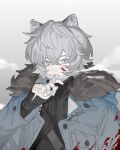  1boy absurdres animal_ear_fluff animal_ears arknights bandaid bandaid_on_hand biting blood blood_on_face bloody_clothes breath cold fang fur fur-trimmed_hood fur_trim grey_eyes grey_hair hair_between_eyes highres hood hood_down hooded_jacket jacket jacknife jaye_(arknights) male_focus mask mask_removed mouth_mask open_clothes open_jacket parted_lips sleeves_past_wrists solo upper_body 