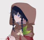  1boy apple bangs barbatos_(genshin_impact) black_hair blue_eyes braid brown_cloak cloak closed_mouth elemental_(creature) eyebrows_visible_through_hair flower food fruit genshin_impact highres holding holding_food holding_fruit hood hood_up hooded_cloak leaf male_focus mole mole_under_eye nameless_bard_(genshin_impact) simple_background solo_focus tassel twin_braids white_background white_flower ylceon 