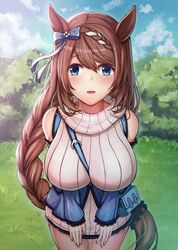  1girl :d aiban animal_ears bag beige_sweater between_breasts blue_bow blue_eyes blue_skirt blue_sky blush bow braid braided_ponytail breasts brown_hair bush clouds eyebrows_visible_through_hair grass hair_bow handbag highlights highres horse_ears horse_girl horse_tail large_breasts looking_at_viewer multicolored_hair open_mouth outdoors pleated_skirt ribbed_sweater sidelocks skirt sky sleeveless_sweater smile solo strap_between_breasts super_creek sweater tail turtleneck turtleneck_sweater umamusume 