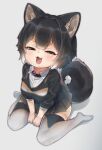  1girl :3 :d animal_ear_fluff animal_ears bangs between_legs black_eyes black_hair black_skirt collar dog_ears dog_girl dog_tail fang gradient_hair grey_background hand_between_legs looking_at_viewer multicolored_hair no_shoes nyifu open_mouth original pleated_skirt short_hair simple_background sitting skirt smile solo squinting tail thigh-highs wariza white_hair wing_collar 