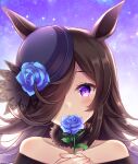  1girl animal_ears bangs bare_shoulders black_hair black_headwear blue_flower blue_rose blush collarbone covered_mouth dress eyebrows_visible_through_hair flower hair_over_one_eye hands_together hands_up hat hat_flower highres holding holding_flower horse_ears long_hair looking_at_viewer off-shoulder_dress off_shoulder own_hands_together rice_shower_(umamusume) rose solo suzumia_(daydream) tilted_headwear umamusume upper_body violet_eyes 