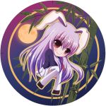  bad_id bunny_ears chibi moon nonoko purple_hair rabbit_ears red_eyes reisen_udongein_inaba thighhighs touhou yuuka_nonoko 