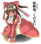  blush cosplay hakurei_reimu high_priest high_priestess lowres parody ragnarok_online solo touhou translated 