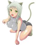  cat_ears green_eyes grey_hair kasai_shin kneeling kokoro_(artist) original silver_hair tail 