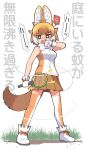  1girl anger_vein angry animal_ear_fluff animal_ears ankle_boots arm_at_side bangs bare_arms bare_shoulders boots bow bowtie breast_pocket breasts bright_pupils brown_hair brown_ribbon brown_skirt bug bug_zapper clenched_hand d: dated dhole_(kemono_friends) dog_ears dog_girl dog_tail dot_nose fang footwear_ribbon from_below from_side full_body fur_collar gloves grass heavy_breathing holding holding_racket insect jitome kemono_friends kemono_friends_3 legs_apart light_brown_hair lightning_bolt looking_at_viewer looking_to_the_side medium_breasts mosquito motion_lines multicolored_hair open_mouth orange_eyes orange_hair outdoors pleated_skirt pocket racket ribbon shaded_face shirt skirt sleeveless sleeveless_shirt solo spoken_anger_vein standing sweat tail thigh-highs translation_request twitter_username two-tone_legwear two-tone_shirt v-shaped_eyebrows white_background white_bow white_footwear white_gloves white_hair white_legwear white_neckwear white_pupils white_shirt wiping_face wiping_sweat yamai zettai_ryouiki 
